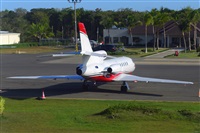 Miguel A. gueda Rguez.  (CANARY ISLANDS SPOTTING). Click to see full size photo