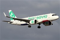 �Alfonso Sol�s - Asociaci�n Canary Islands Spotting. Click to see full size photo