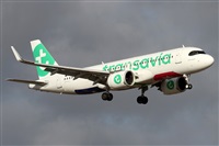 ©Alfonso Solís - Asociación Canary Islands Spotting. Click to see full size photo ©Alfonso Solís - Asociación Canary Islands Spotting. Click to see full size photo