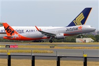 �Miguel A. �gueda Rguez.  (CANARY ISLANDS SPOTTING). Click to see full size photo