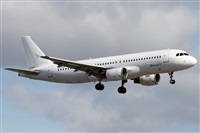 ©Alfonso Solís - Asociación Canary Islands Spotting. Click to see full size photo ©Alfonso Solís - Asociación Canary Islands Spotting. Click to see full size photo