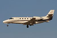 Jos Miguel Bernases - Noisy Spotters. Click to see full size photo