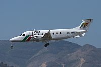 Jos Miguel Bernases - Noisy Spotters. Click to see full size photo