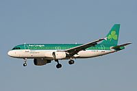 Galo Alcolea - Iberian Spotter / AIRE.ORG. Click to see full size photo