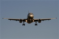Jos Miguel Bernases - Noisy Spotters. Click to see full size photo