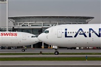 ©Carlos P. Valle C.. Click to see full size photo ©Carlos P. Valle C.. Click to see full size photo