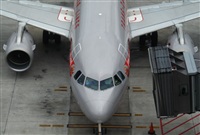 Emmanuel Rosales SJO Spotter. Click to see full size photo