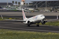 Ayoze Santana Mendez - Canary Islands Spotting. Click to see full size photo