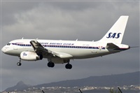 ©Juan Antonio López Delgado, Asociación de Spotters de Canarias (Canary Islands Spotting). Click to see full size photo ©Juan Antonio López Delgado, Asociación de Spotters de Canarias (Canary Islands Spotting). Click to see full size photo