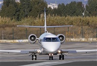 Jos Miguel Bernases - Noisy Spotters. Click to see full size photo