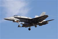 Alfonso Sols - Asociacin Canary Islands Spotting. Click to see full size photo