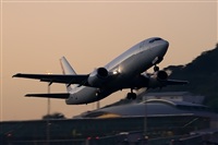 Javier de la Cruz - CANARY ISLANDS SPOTTING. Click to see full size photo