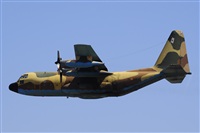 Jaime Fonayet Grau. Click to see full size photo