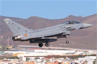 JF Alemn-GranCanariaSpotters. Haz click para ampliar