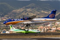 Javier de la Cruz - CANARY ISLANDS SPOTTING. Click to see full size photo