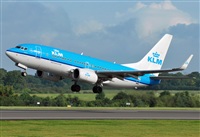 Alejandro Bethencourt (Canary Islands Spotting). Click to see full size photo