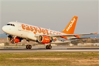 Luciano Fumero( freedom spotter)canary island spotting. Click to see full size photo