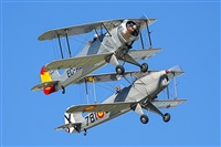 Jos Luis Celada Euba. Click to see full size photo