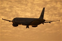 Saimon J Rodriguez   -   Canary Islands Spotting. Haz click para ampliar