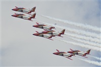 Fco Javier Garca Ruiz. Click to see full size photo