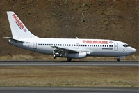 Rui Alves - Madeira Spotters. Haz click para ampliar