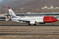 ©Alfonso Solís - Asociación Canary Islands Spotting. Click to see full size photo ©Alfonso Solís - Asociación Canary Islands Spotting. Click to see full size photo