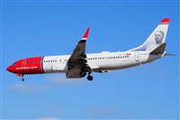 Miguel A. gueda Rguez.  (CANARY ISLANDS SPOTTING). Haz click para ampliar