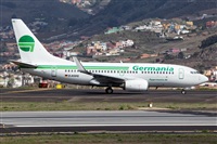 Javier de la Cruz - CANARY ISLANDS SPOTTING. Haz click para ampliar