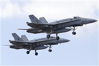 Paco Muoz Arencibia - Gran Canaria Spotters. Click to see full size photo