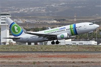 Alfonso Sols - Asociacin Canary Islands Spotting. Click to see full size photo