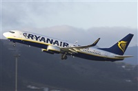 Saimon J Rodriguez   -   Canary Islands Spotting. Click to see full size photo