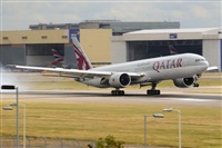Miguel A. gueda Rguez.  (CANARY ISLANDS SPOTTING). Haz click para ampliar