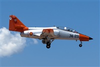 Bartolom Fernndez - Gran Canaria Spotters. Click to see full size photo