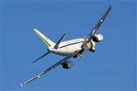 Rodrigo Carvalho - Noisy Spotters. Click to see full size photo