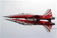 Rubn Gil - Noisy Spotters. Click to see full size photo