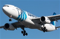 Miguel Alia - Noisy Spotters. Click to see full size photo