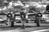 Click here to see full size photo