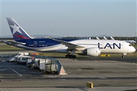 Rubn Gil - Noisy Spotters. Click to see full size photo