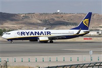 ©Alfonso Solís - Asociación Canary Islands Spotting. Click to see full size photo ©Alfonso Solís - Asociación Canary Islands Spotting. Click to see full size photo