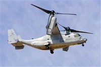 Paco Muoz Arencibia - Gran Canaria Spotters. Click to see full size photo