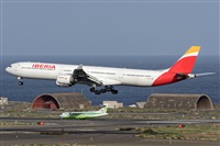 Bartolom Fernndez - Gran Canaria Spotters. Click to see full size photo