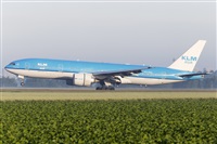 Rubn Gil - Noisy Spotters. Click to see full size photo