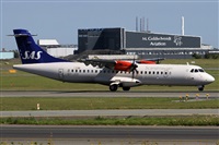 ©Alfonso Solís - Asociación Canary Islands Spotting. Click to see full size photo ©Alfonso Solís - Asociación Canary Islands Spotting. Click to see full size photo