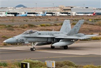 ©J. Victor Vega-Gran Canaria Spotters. Click to see full size photo ©J. Victor Vega-Gran Canaria Spotters. Click to see full size photo