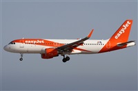 Alfonso Sols - Asociacin Canary Islands Spotting. Haz click para ampliar