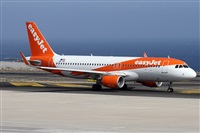 Alfonso Sols - Asociacin Canary Islands Spotting. Haz click para ampliar