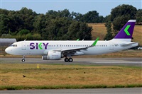 Miguel A. gueda Rguez.  (CANARY ISLANDS SPOTTING). Haz click para ampliar