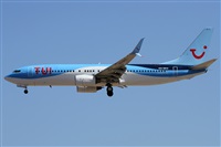 Alfonso Sols - Asociacin Canary Islands Spotting. Click to see full size photo