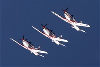 Tams. Click to see full size photo