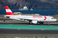 ©Adolfo Bento - Gran Canaria Spotters. Click to see full size photo ©Adolfo Bento - Gran Canaria Spotters. Click to see full size photo